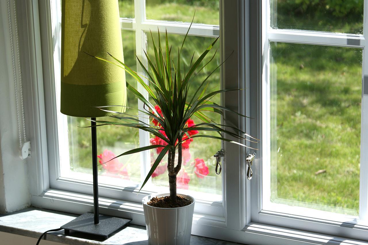 Ejagarden B&B En Suite Kåseberga Dış mekan fotoğraf